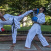 驴Qu茅 es el Karate? Art铆culo cultural sobre el significado del Karate como un bello arte marcial - Arawaza Venezuela - Andr茅s Madera